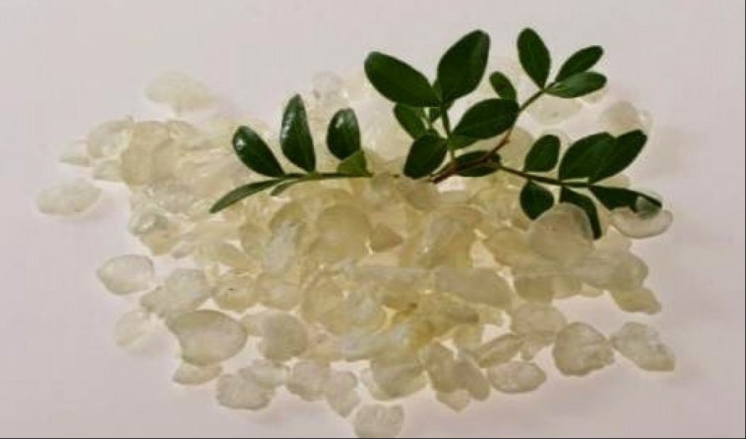 H θαυματουργή μαστίχα: Θωρακίζει το πεπτικό σύστημα, προστατεύει από καρδιαγγειακά, ενώ έχει και αντικαρκινική δράση